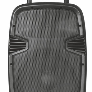 XLine NPS-15A Активная акустическая система со встроенным аккумулятором, с USB/SD/Bluetooth/FM