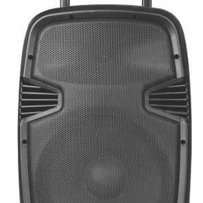 XLine NPS-15A Активная акустическая система со встроенным аккумулятором, с USB/SD/Bluetooth/FM